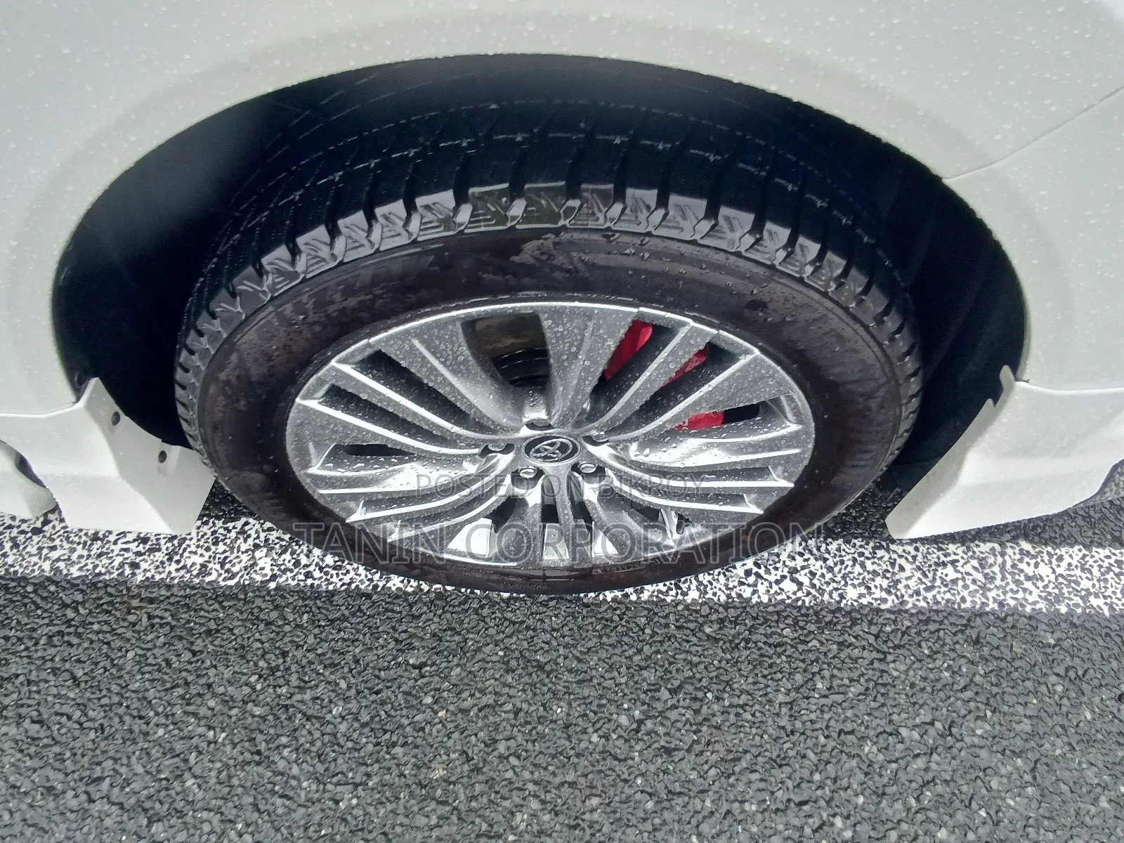 Toyota Harrier 2021 Pearl