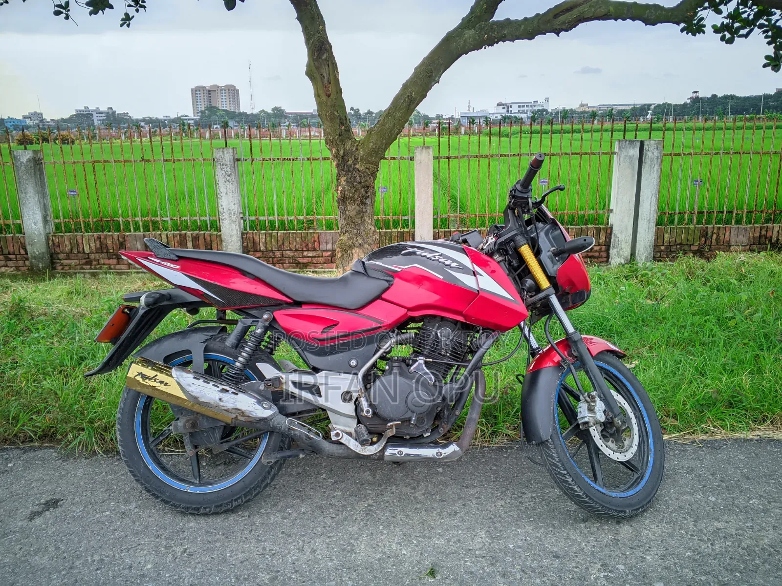 বাজাজ পালসার ১৫০ ২০১২ রেড