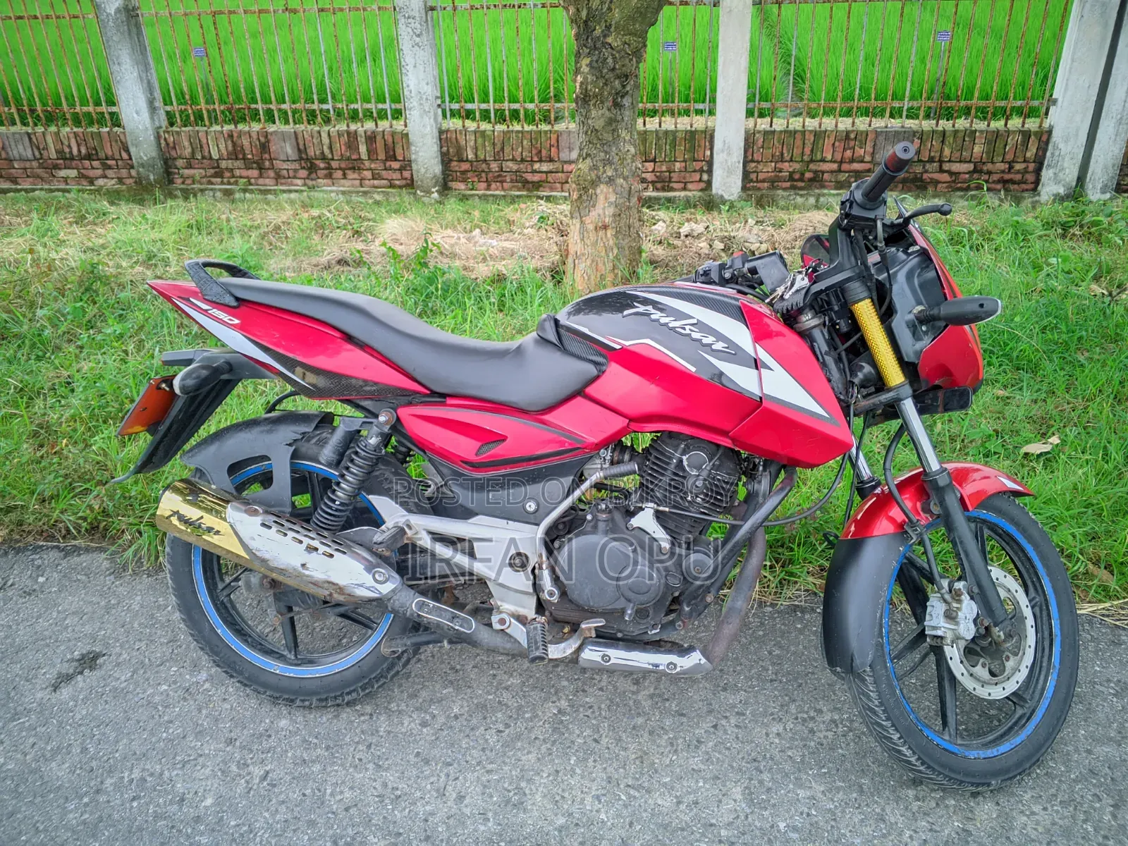 বাজাজ পালসার ১৫০ ২০১২ রেড