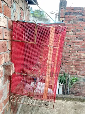 খাঁচা বিক্রি