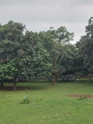 জমি বিক্রি হবে গাজিপুর,রাজেন্দ্রপুর,কাচারিপাড়া