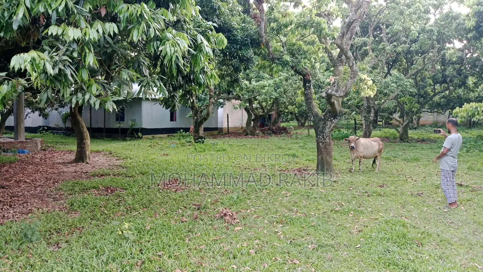 জমি বিক্রি হবে গাজিপুর,রাজেন্দ্রপুর,কাচারিপাড়া