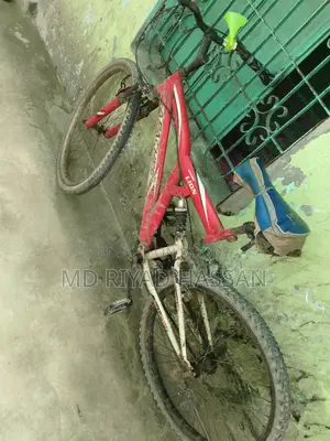 Cycle Non Gear