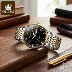 OLEVS 6602 Luxury Watch