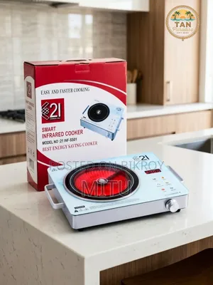 Electronic Stove