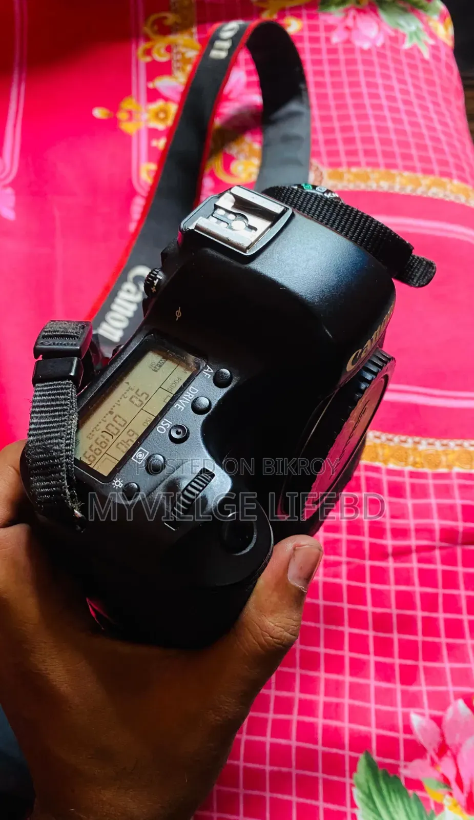 ক্যানন ৬ডি উইথ ৮৫ মিমি লেন্স