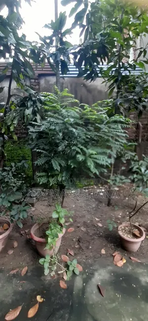 Some plants will be sold urgently