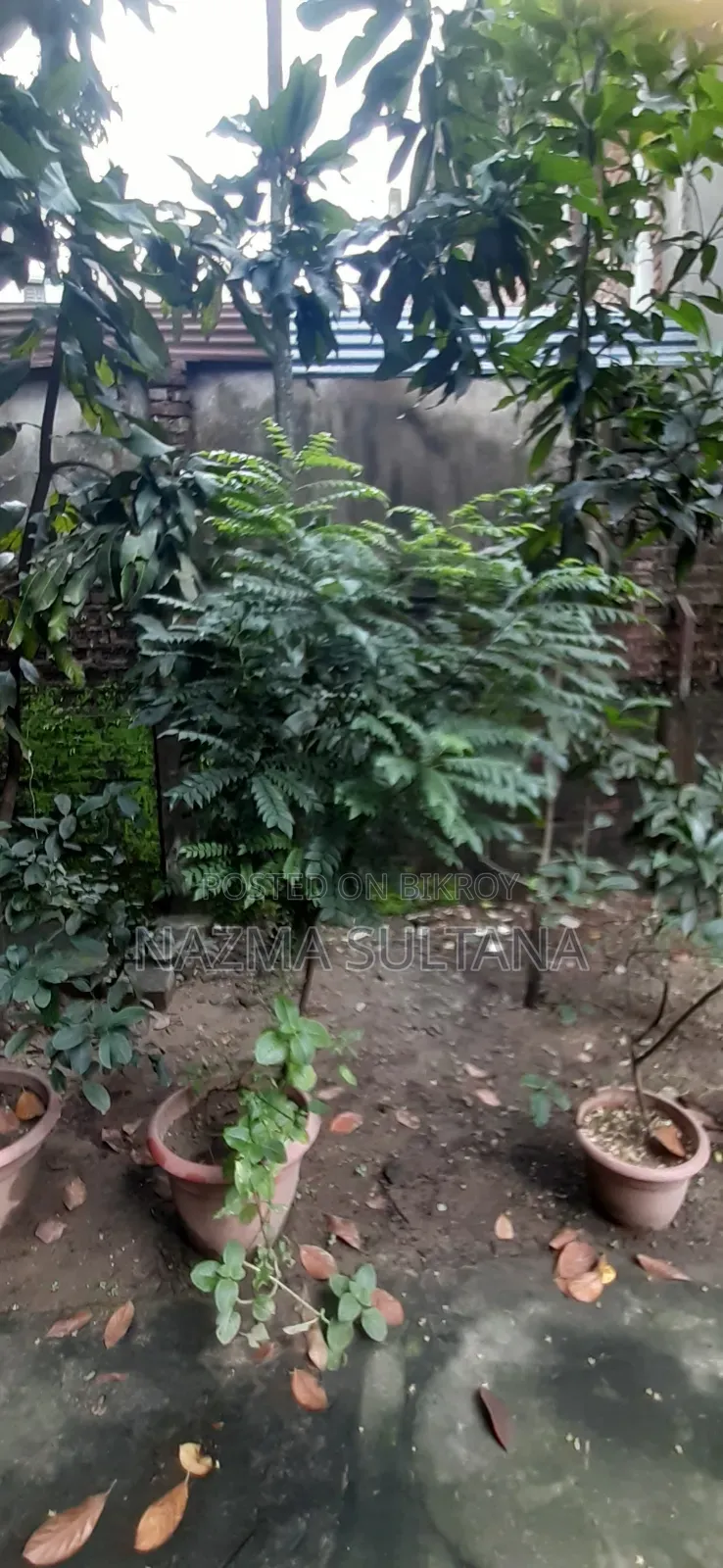 Some plants will be sold urgently