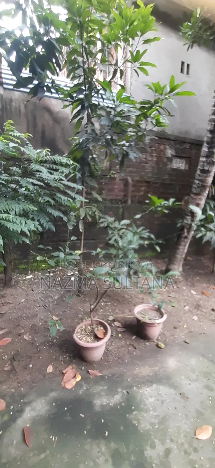 Some plants will be sold urgently