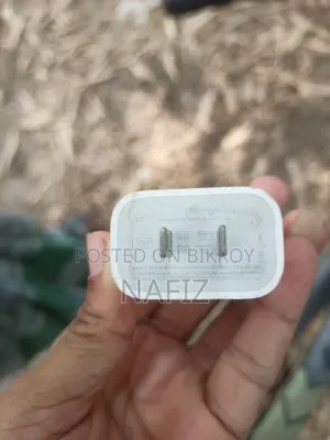 Apple Charger