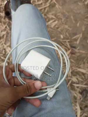 Apple Charger