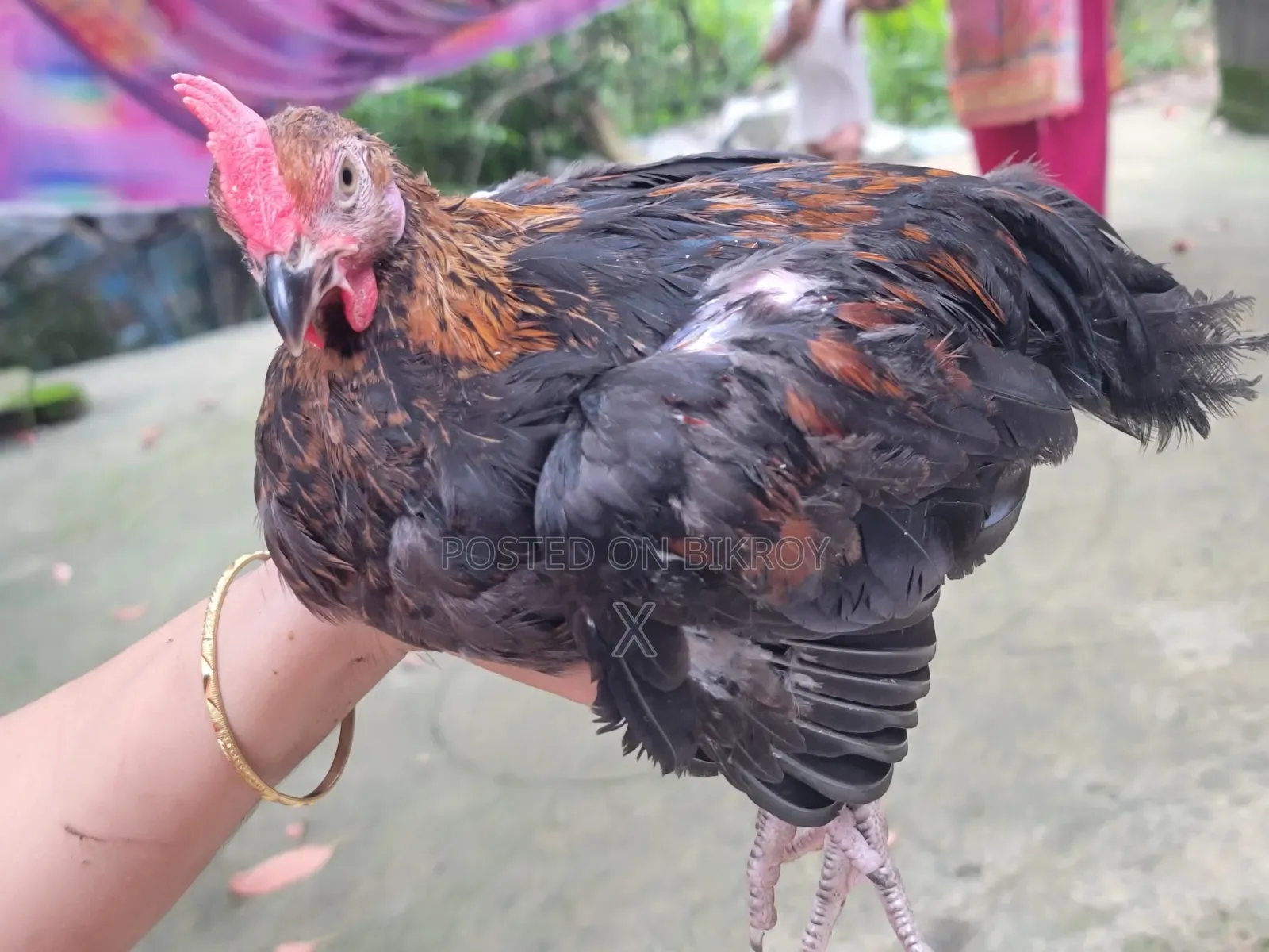 Desi Chicken