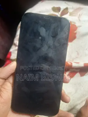 নিউ অ্যাপল আইফোন ১২ প্রো ম্যাক্স ১২৮ জিবি ব্লু