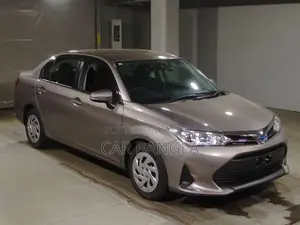 Toyota Axio 2021 Brown