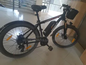 Duranta E Bike 100