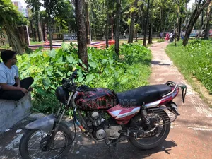 বাজাজ সিটি ১০০ ২০১৪ লাল