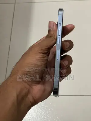 অ্যাপল আইফোন ১৩ প্রো ২৫৬ জিবি ব্লু