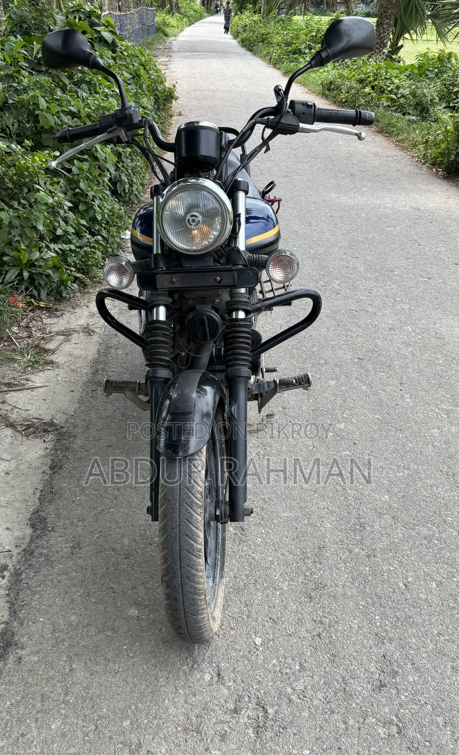 Bajaj Avenger 150 Street 2019 Blue