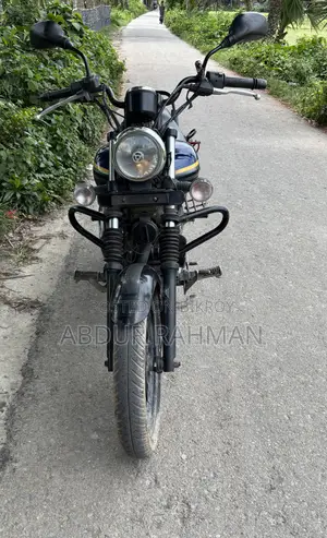 Bajaj Avenger 150 Street 2019 Blue