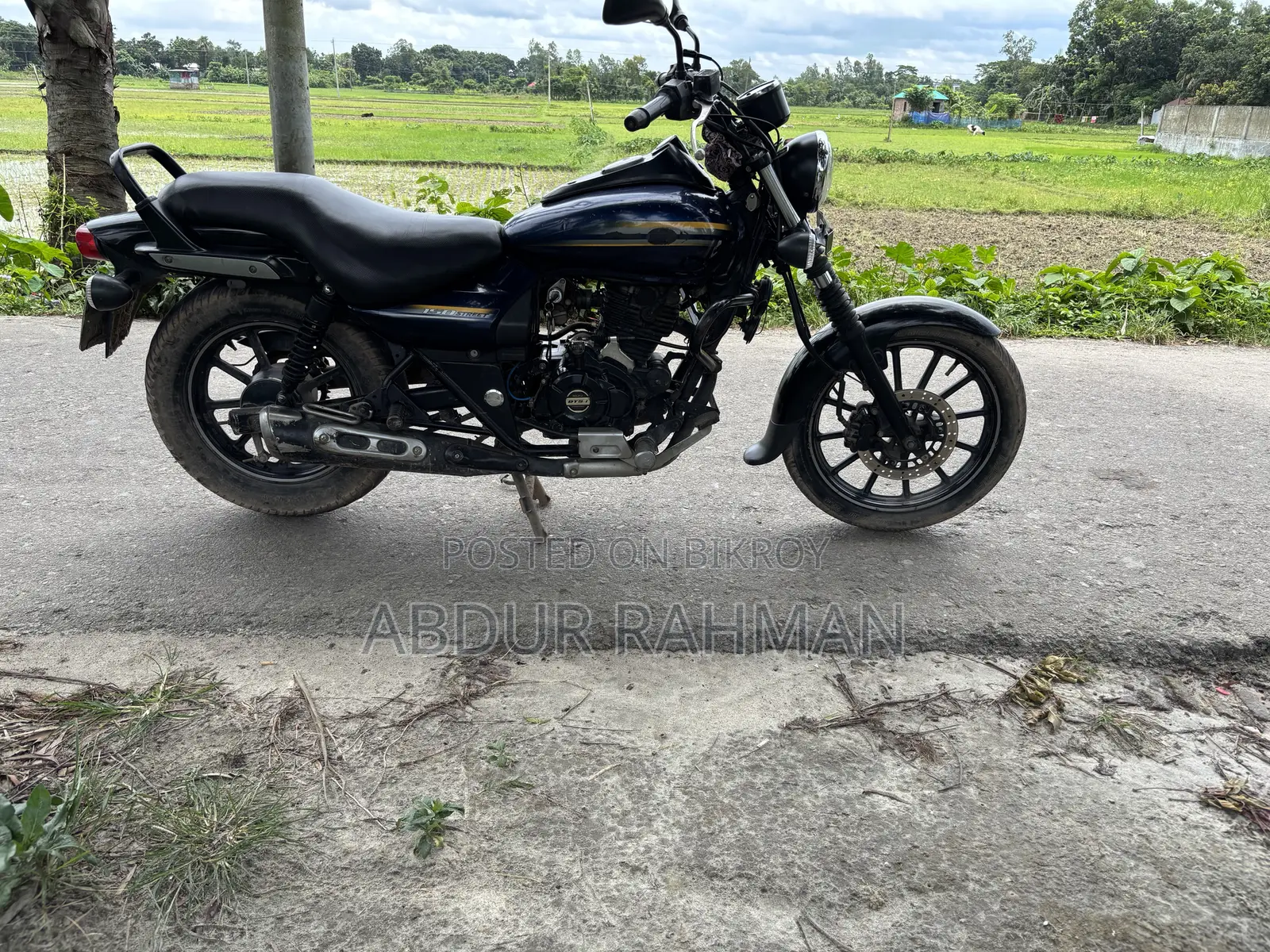 Bajaj Avenger 150 Street 2019 Blue