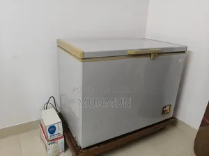 Rangs Deep Fridge (120kg Capacity )