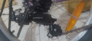 স্টার্ন সাইকেল