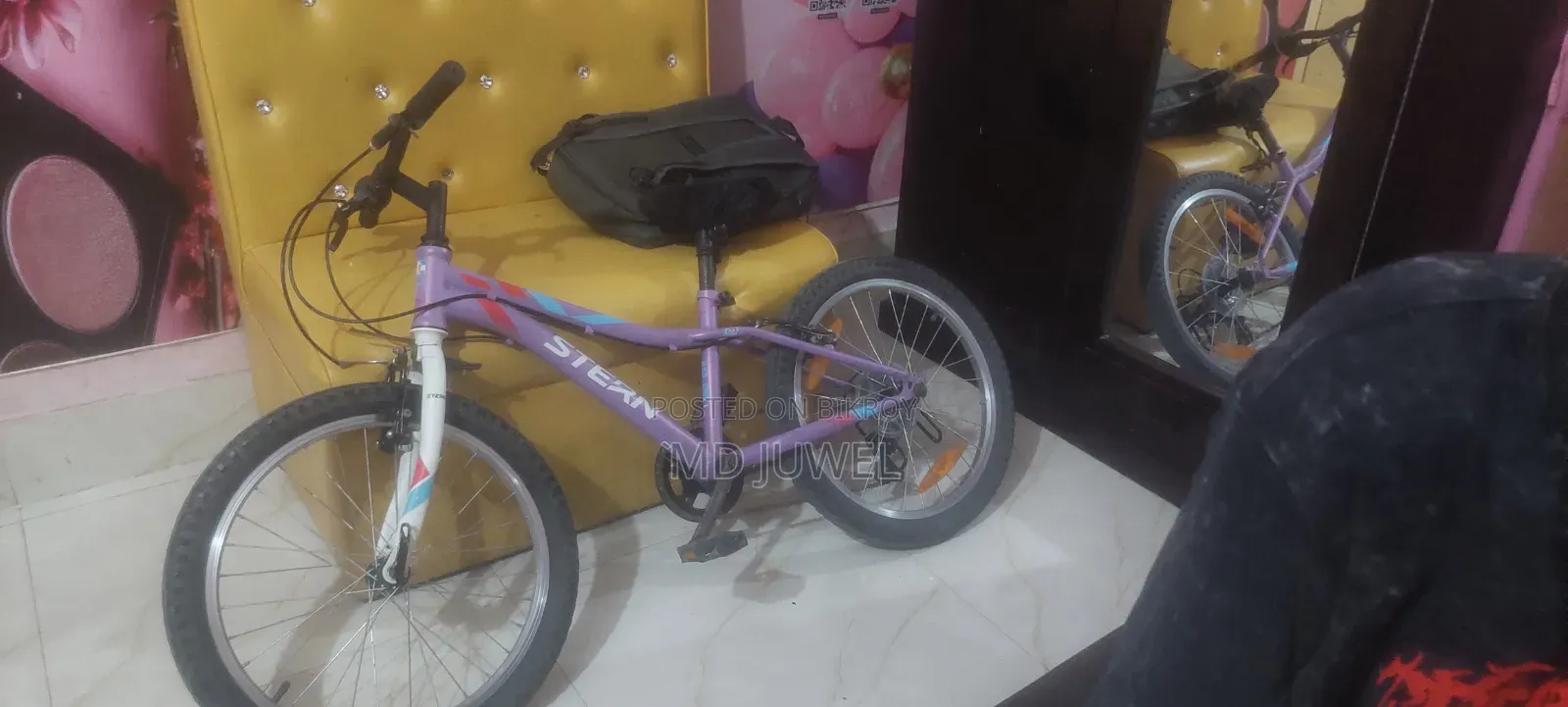 স্টার্ন সাইকেল
