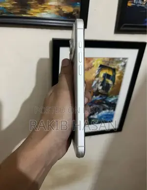 অ্যাপল আইফোন ১৭ প্রো ম্যাক্স ২৫৬ জিবি সিলভার