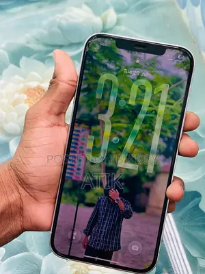 অ্যাপল আইফোন ১২ প্রো ম্যাক্স ২৫৬ জিবি হোয়াইট