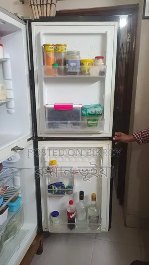 Singer Fridge