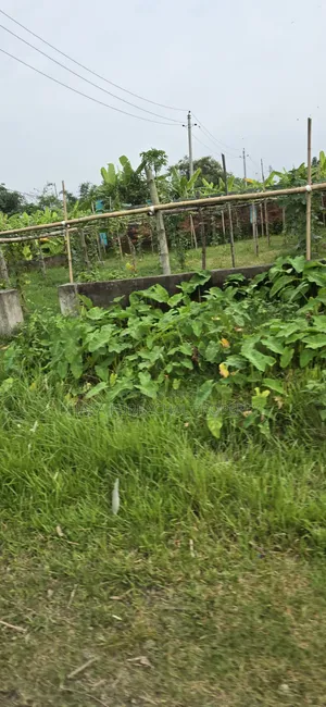 রাজউক পূর্বাচল সেক্টর-১৫ সরকারি চাকরিজীবী প্লট বিক্রি