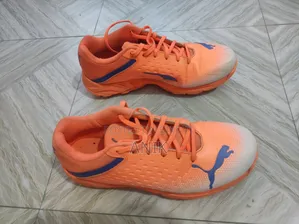 Original Puma Spike 22.2 Cricket Shoes - US 8