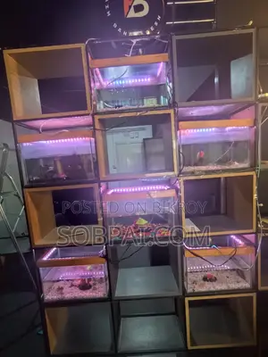 Beautiful 15x9" Clear Glass Aquarium With LED Light Full Setup