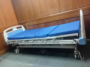Five-Function Electric Hospital Bed