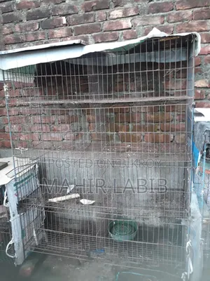 ৮ খোপের থরের খাঁচা, ১টা ছোট সাইজের দাপরি, মোটা রড দিয়ে বানানো