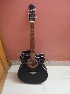 Signature Guitar Brand New