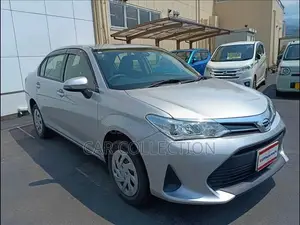 Toyota Axio 2021 Silver