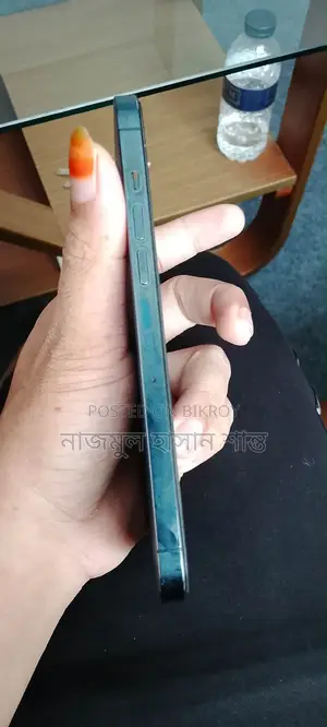 অ্যাপল আইফোন ১২ প্রো ম্যাক্স ২৫৬ জিবি ব্লু