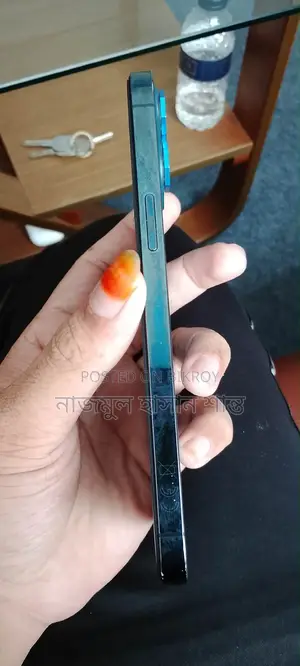 অ্যাপল আইফোন ১২ প্রো ম্যাক্স ২৫৬ জিবি ব্লু
