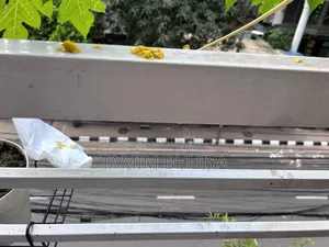 আইডিএস স্কাইল্যান্ড, মিরপুরে ১ বেডরুমের বাসা ভাড়ার জন্য