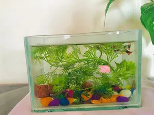 মিনি ট্যাঁক + ২ জোড়া গাপ্পি