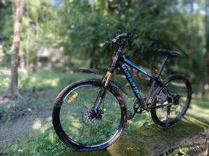 Duranta Bicycle for Sale