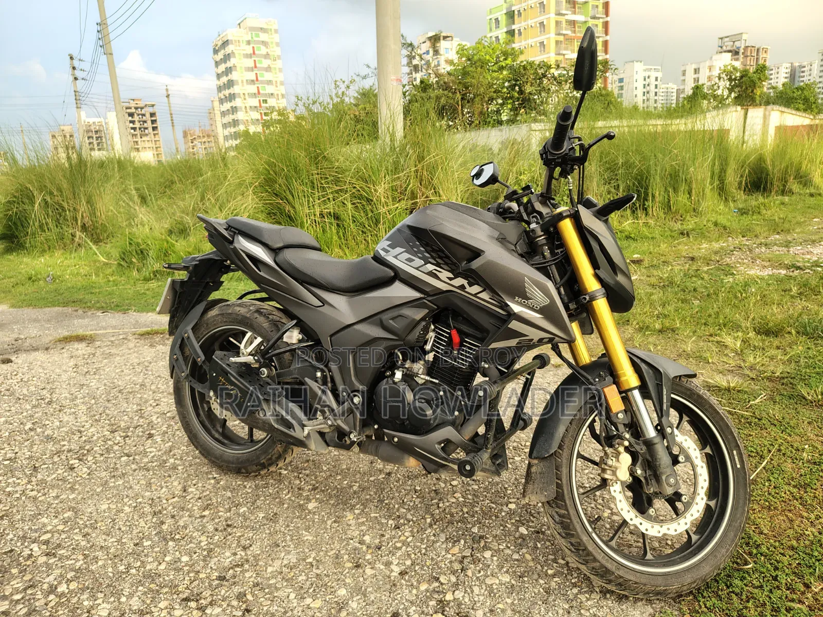 Honda Hornet 2024 Gray