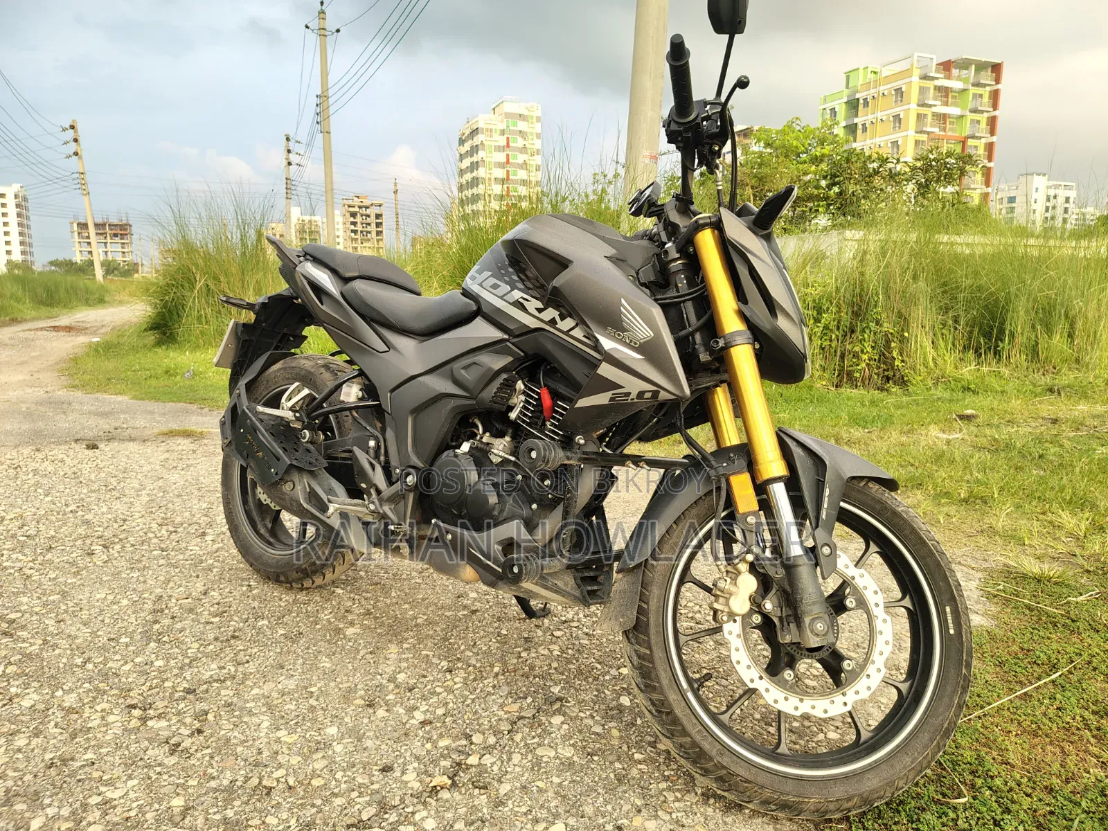 Honda Hornet 2024 Gray