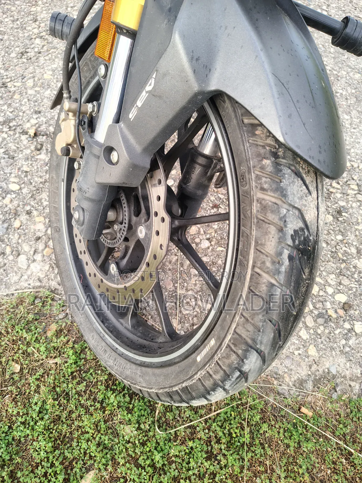 Honda Hornet 2024 Gray