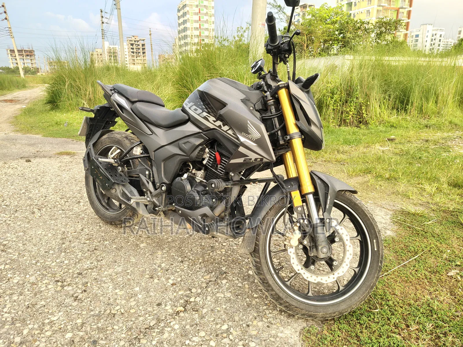 Honda Hornet 2024 Gray