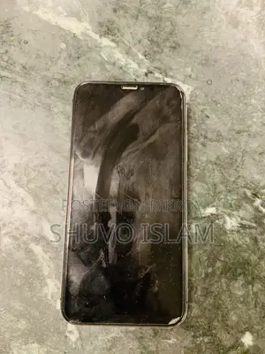 অ্যাপল আইফোন এক্স ৬৪ জিবি রোজ গোল্ড