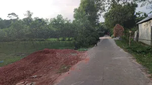 Land for sale 12 katha due to urgent need of money