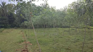 Land for sale 12 katha due to urgent need of money