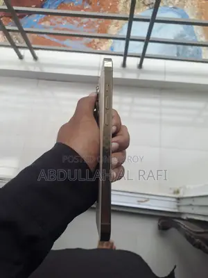অ্যাপল আইফোন ১৩ প্রো ম্যাক্স ২৫৬ জিবি রোজ গোল্ড